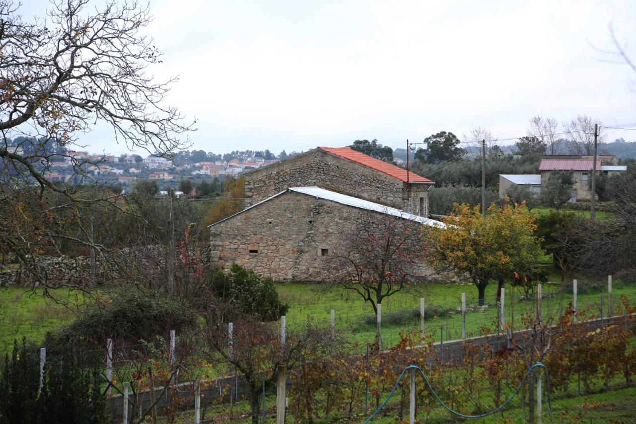 Casa D'Avo Serra Da Estrela Seia Exterior photo